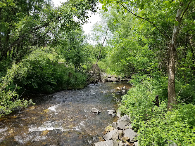 Berks Nature Angelica Creek Park