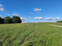 Bestwood Country Park Travel Forum Reviews