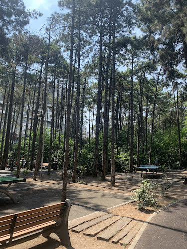 Beylikdüzü Park