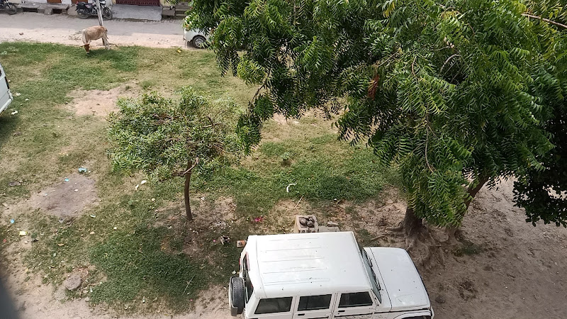 Bhagat Singh park