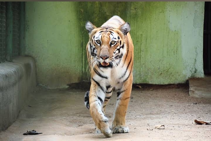 Bhagwan Birsa Biological Park