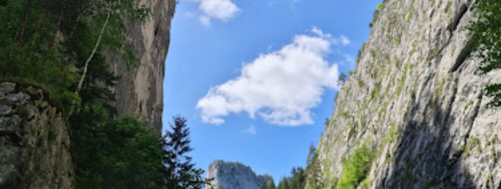 Bicaz Gorges Travel Forum Reviews