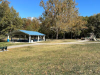 Bicentennial Park Travel Forum Reviews