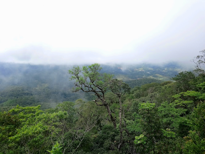 Bidoup Nui Ba National Park
