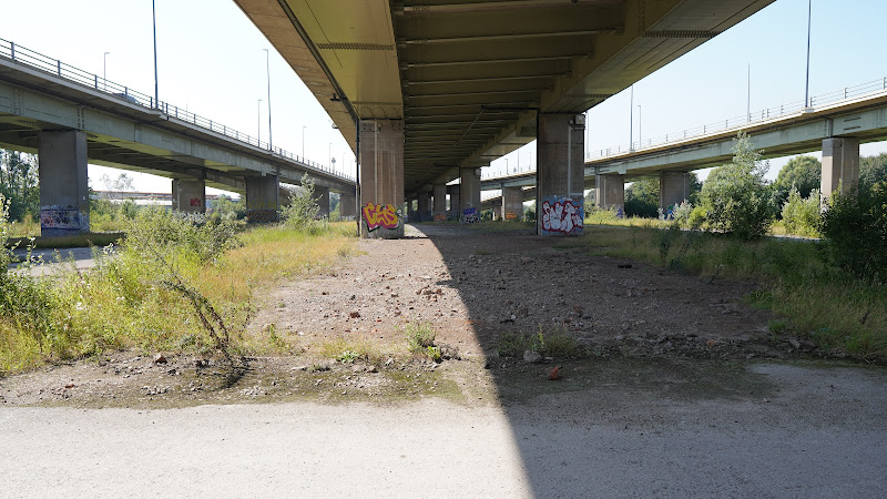 Bidston Moss
