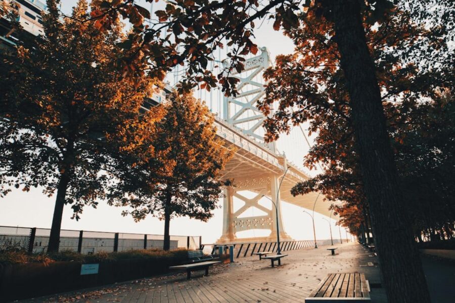 Big Bus Tour of Philadelphia Review