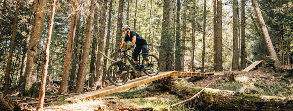 Bike Park Pohorje Maribor Travel Forum Reviews