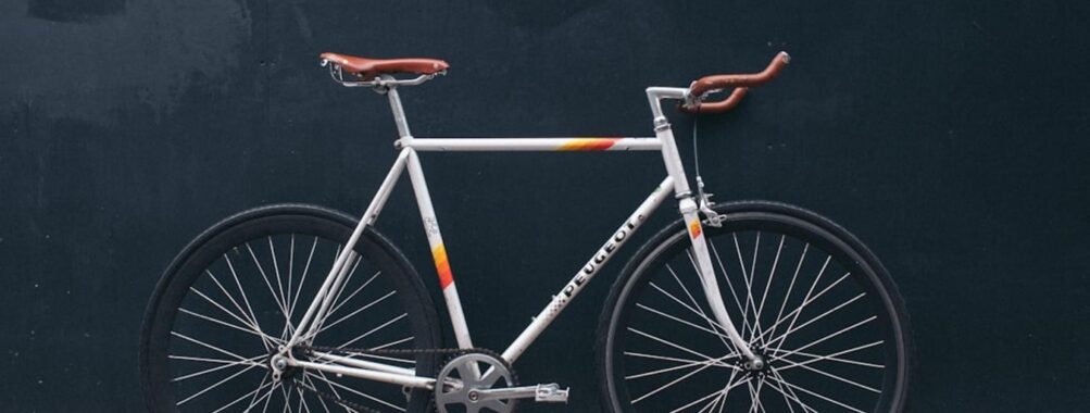 Bike rental in Santa Monica Review
