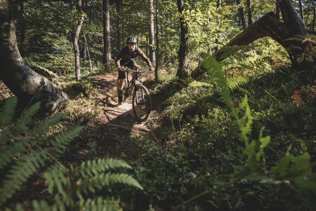 Biking tour on Ljubljana's MTB trail Review
