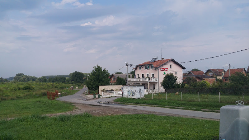 Biljski Krokodil