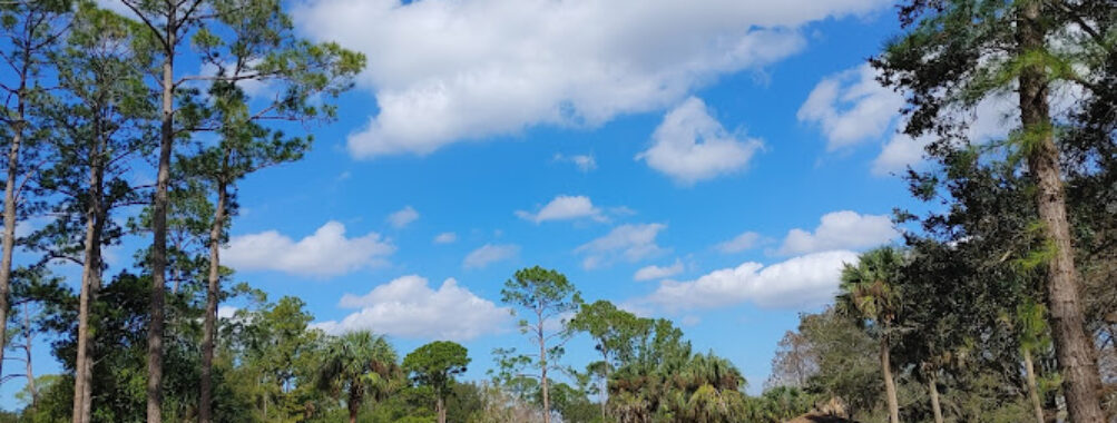 Bill Frederick Park Travel Forum Reviews