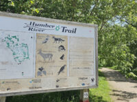 Bindertwine Park Travel Forum Reviews