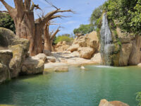 Bioparc Valencia Travel Forum Reviews