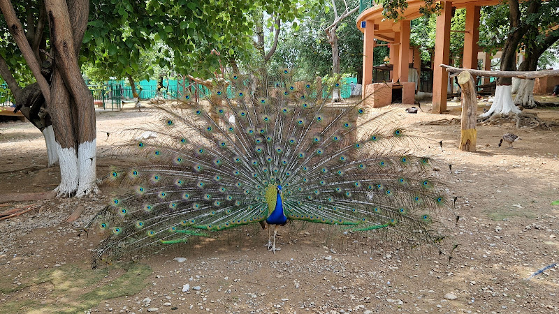 Bird Park