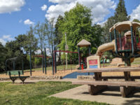 Bird Track Park Travel Forum Reviews