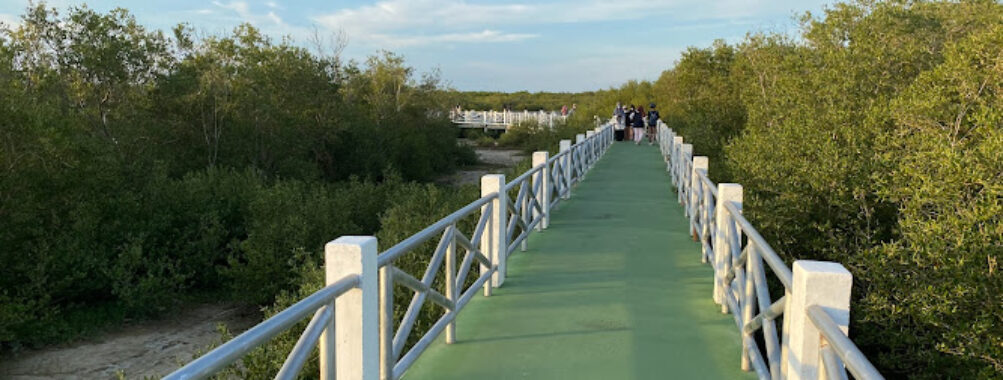 Bird Watching Center, Pattani Travel Forum Reviews