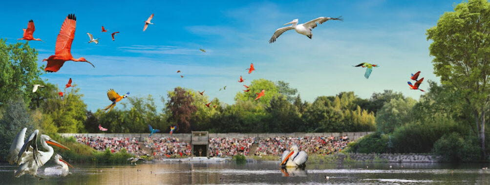 Bird park Villars les Dombes Travel Forum Reviews