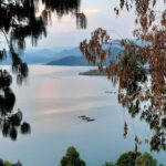 Birdwatching Boat tours & Kayaking