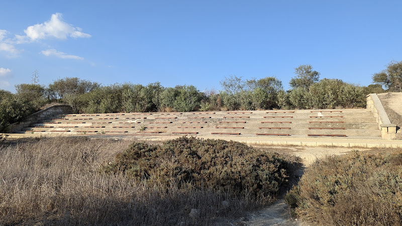 Birdwatching in Larnaka