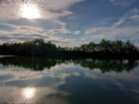 Birobidzhansky District Travel Forum Reviews