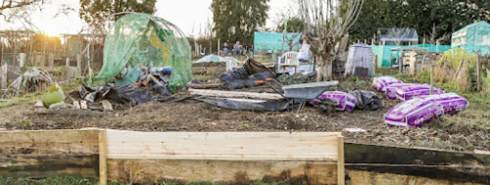 Bishop Stortford Allotment Travel Forum Reviews