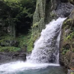 Black Grouse Waterfall