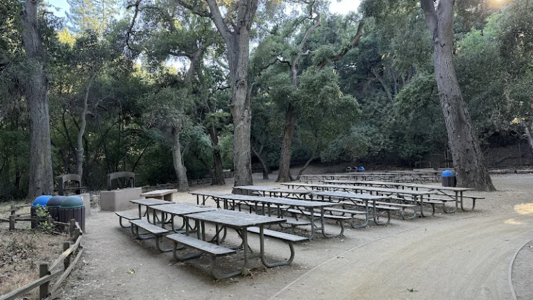 Blackberry Farm Recreation and Pool