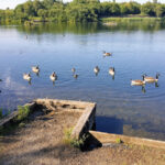 Blackleach Country Park