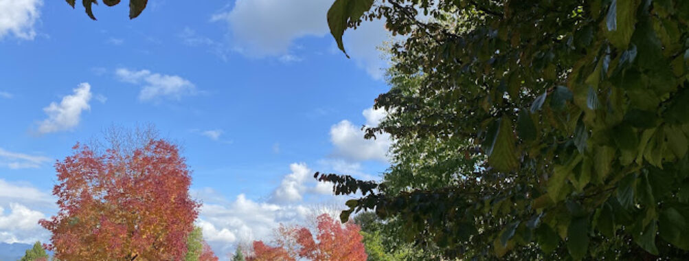 Blakeburn Park Travel Forum Reviews