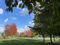 Blakeburn Park Travel Forum Reviews