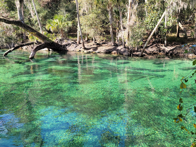 Blue Spring State Park