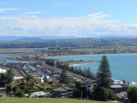 Bluff Hill Domain Travel Forum Reviews
