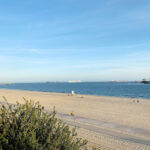 Bluff Park