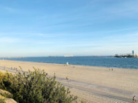 Bluff Park Travel Forum Reviews