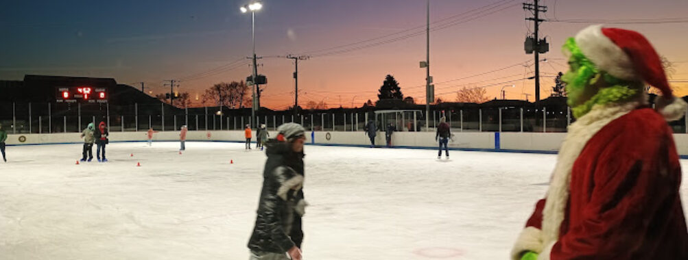 Bobby Hull Community Ice Rink Travel Forum Reviews
