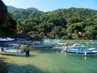 Boca de Tomatlan Travel Forum Reviews