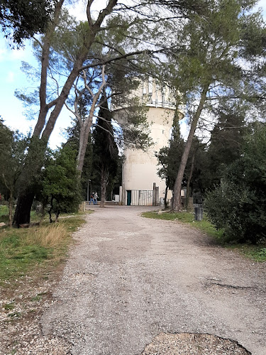 Bois de Montmaur