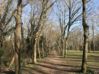 Bois de cergy Travel Forum Reviews