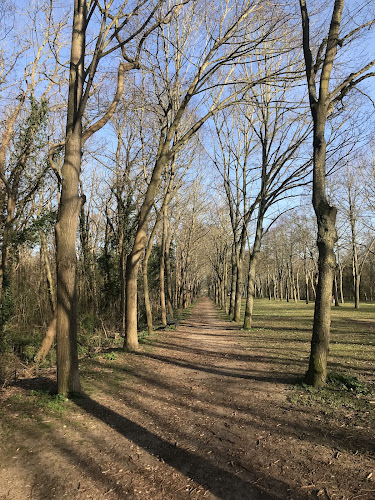 Bois de cergy