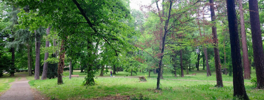Bois des Essarts Travel Forum Reviews