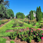 Boise Rose Garden