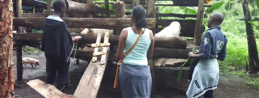 Boma Play Grounds Fort Portal Travel Forum Reviews
