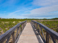 Bonefish Pond National Park Travel Forum Reviews