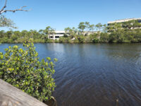 Bonita Springs River Park Travel Forum Reviews