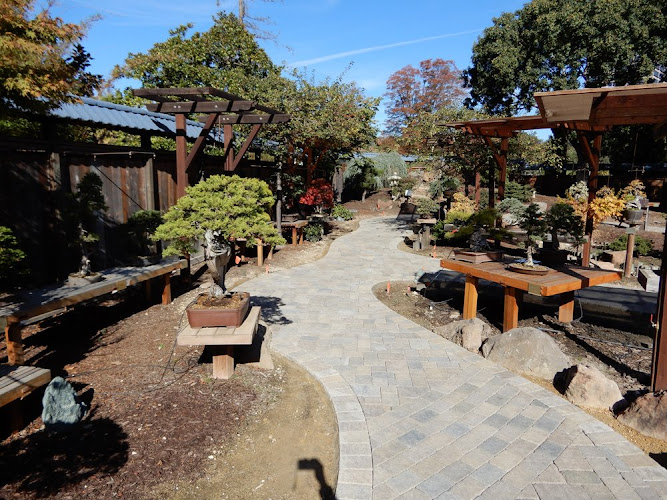 Bonsai Garden