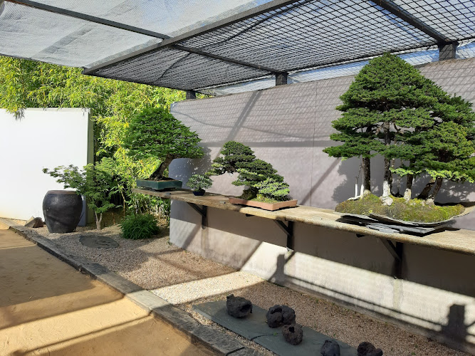 Bonsai Museum