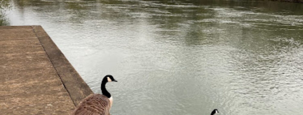 Bord de Marne Travel Forum Reviews