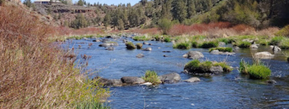 Borden Beck Wildlife Preserve Travel Forum Reviews