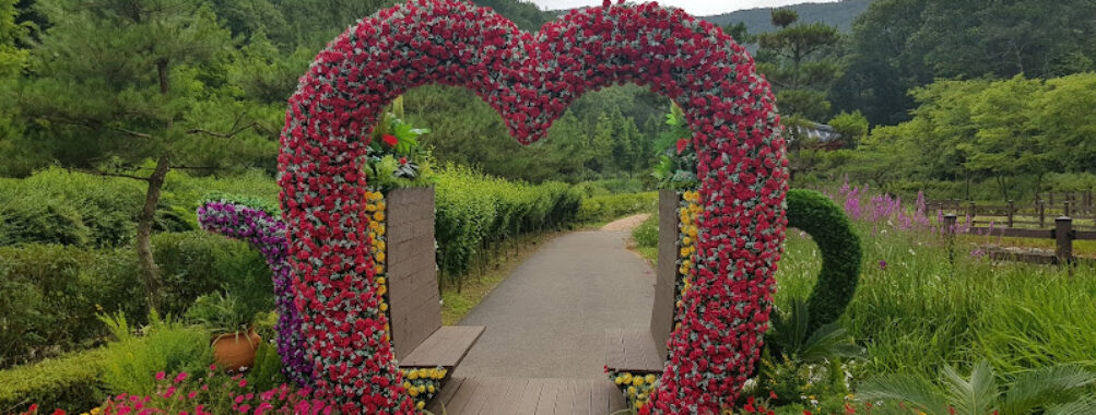 Boryeong Mugunghwa Arboretum Travel Forum Reviews
