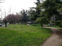 Boschetto Dante Alighieri Travel Forum Reviews
